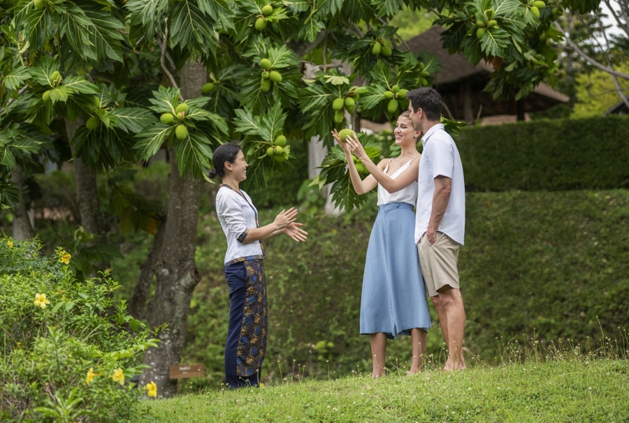 A Luxurious Andaman Island Escape Where Sustainability Meets Timeless Elegance - TRAVELINDEX